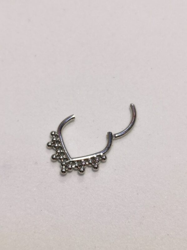 Septum coroncina