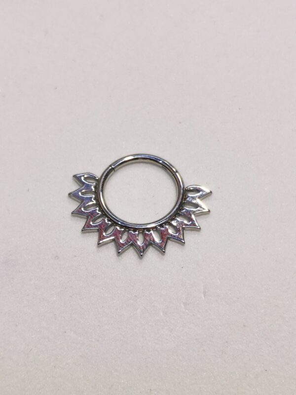 Septum - immagine 2