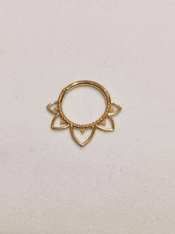 Septum - immagine 2