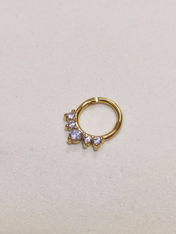 Septum con cristalli - immagine 2