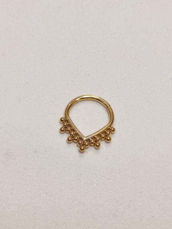 Septum coroncina - immagine 3