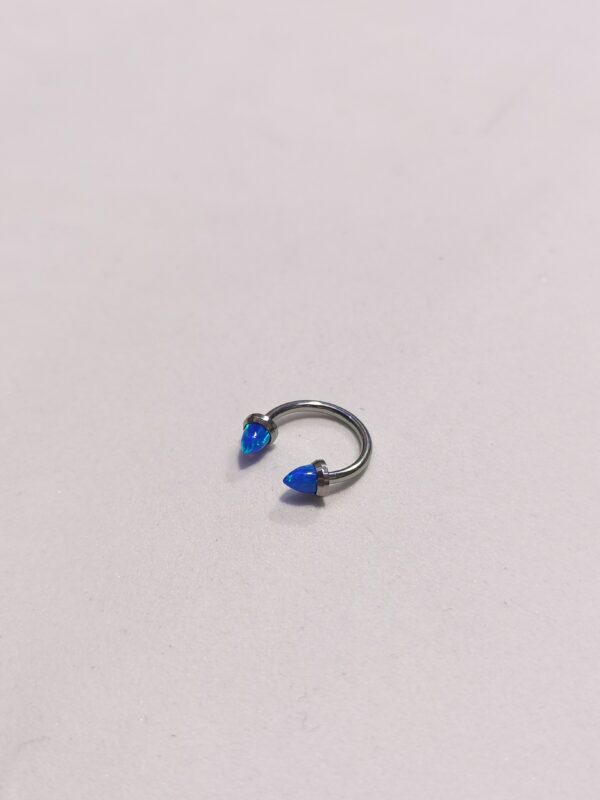 Septum opale - immagine 2