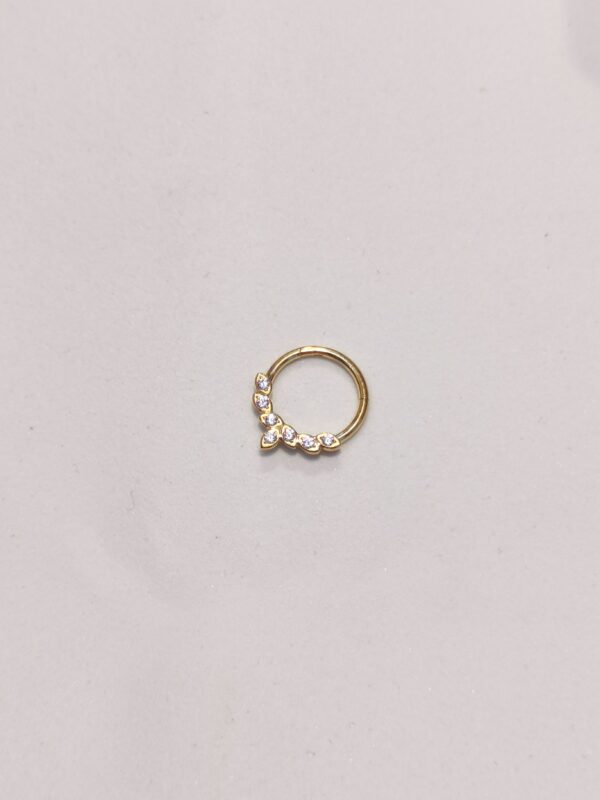 Septum con cristalli - immagine 2