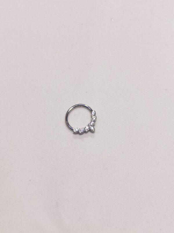 Septum con cristalli - immagine 3