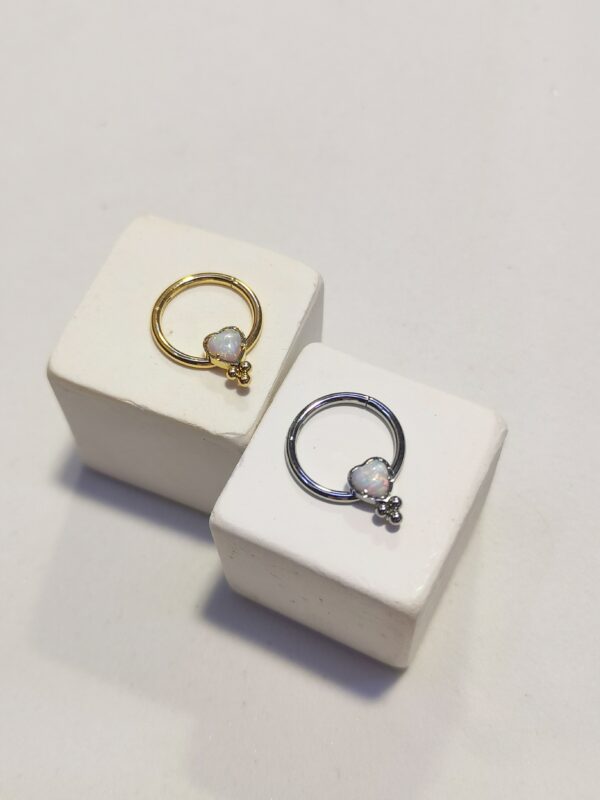 Septum cuore opale