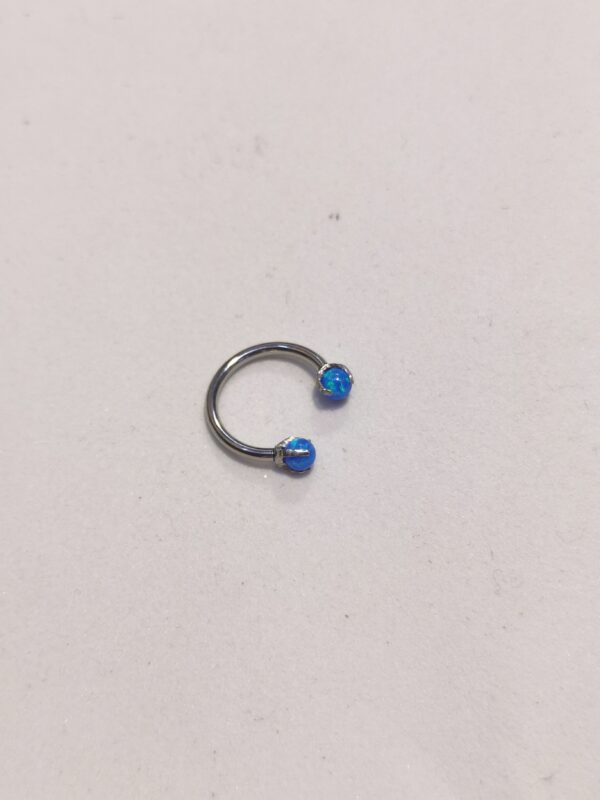 Septum opale - immagine 2