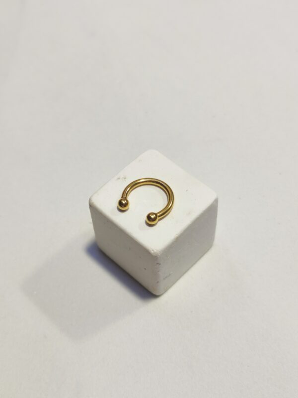 Circular barbell - immagine 3