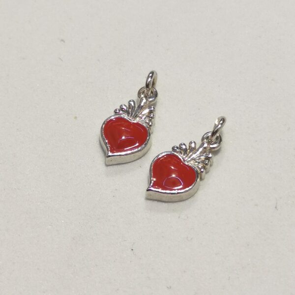Cuore sacro - immagine 2