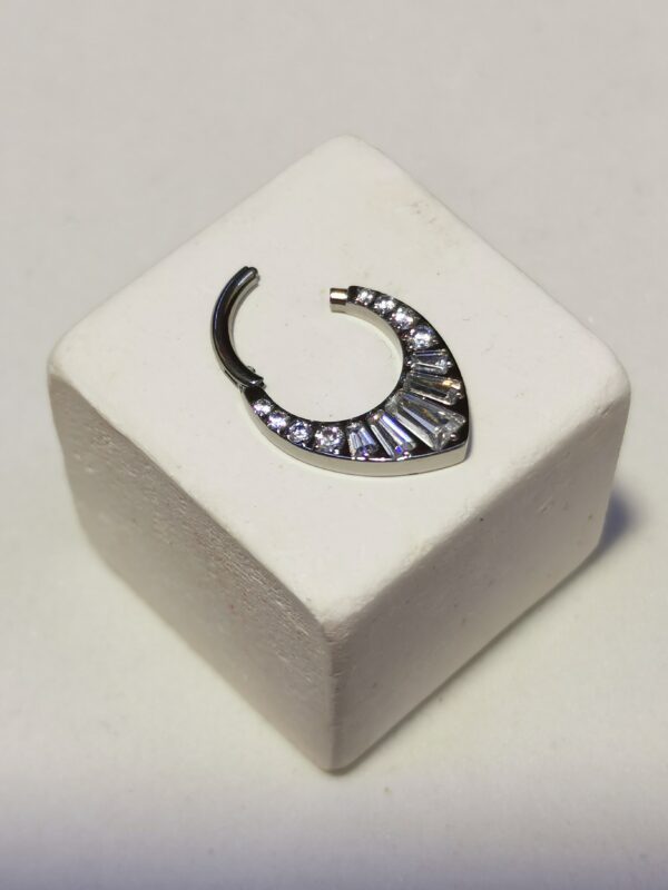 Septum in titanio - immagine 2
