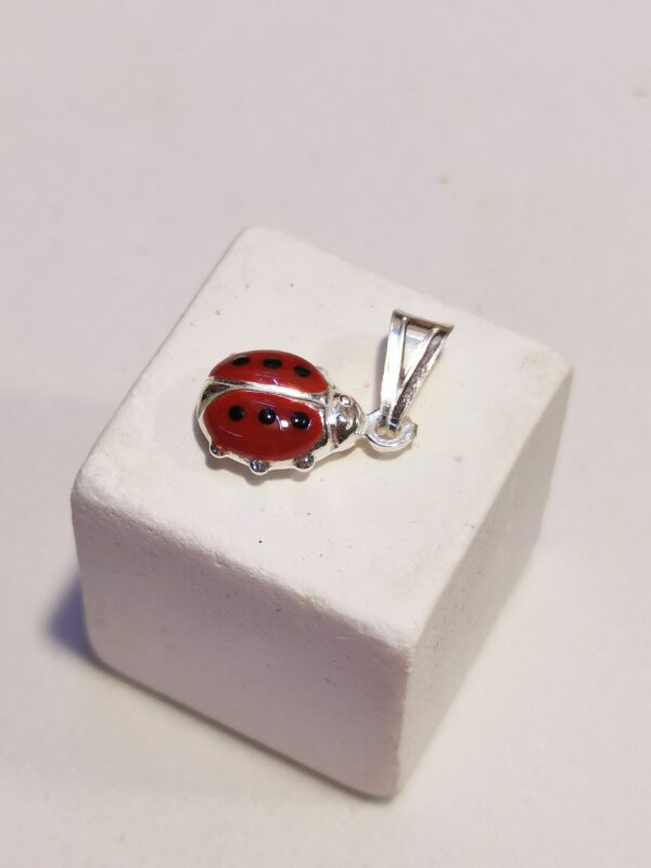 Coccinella portafortuna - immagine 3