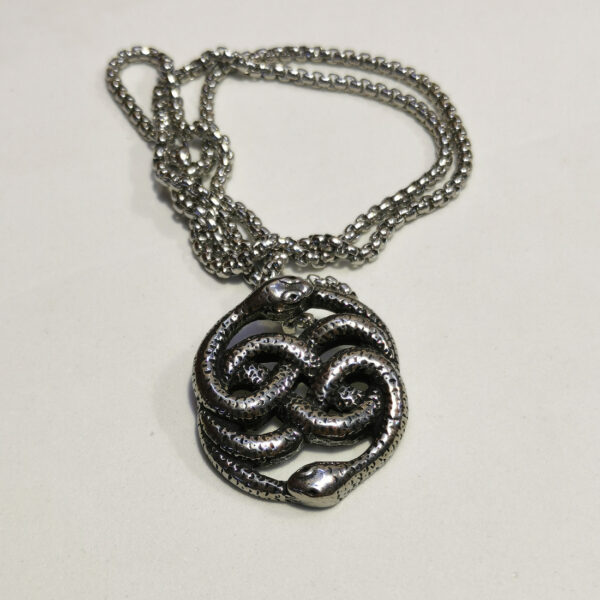 Auryn - immagine 3