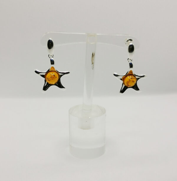 Star compact amber earrings - immagine 2