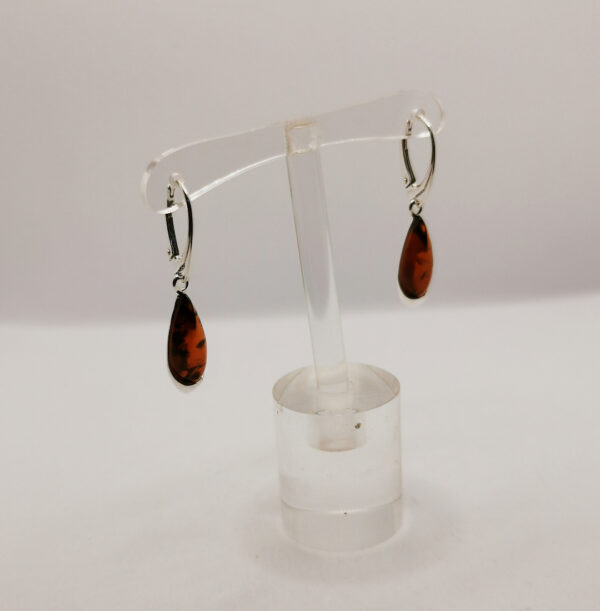 Earrings Hoops Drops