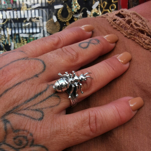Ant ring