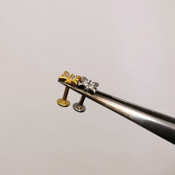 WindRose Labret - immagine 2