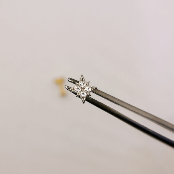 WindRose Labret - immagine 4