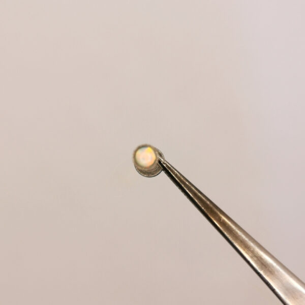 Opal Labret - immagine 2