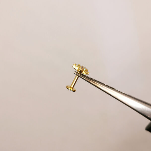 Star crystal Labret - immagine 2
