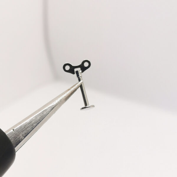 Old-Key Labret