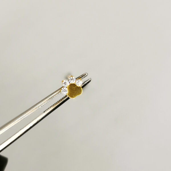 Paw crystal Labret