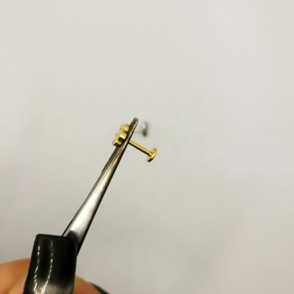 Paw crystal Labret - immagine 2