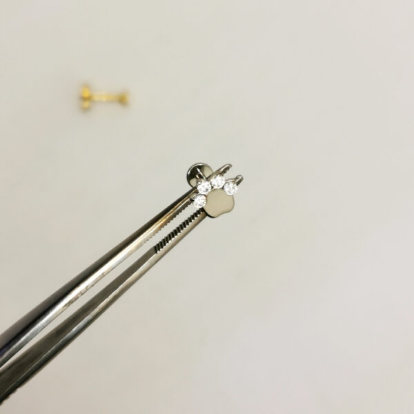 Paw crystal Labret - immagine 4