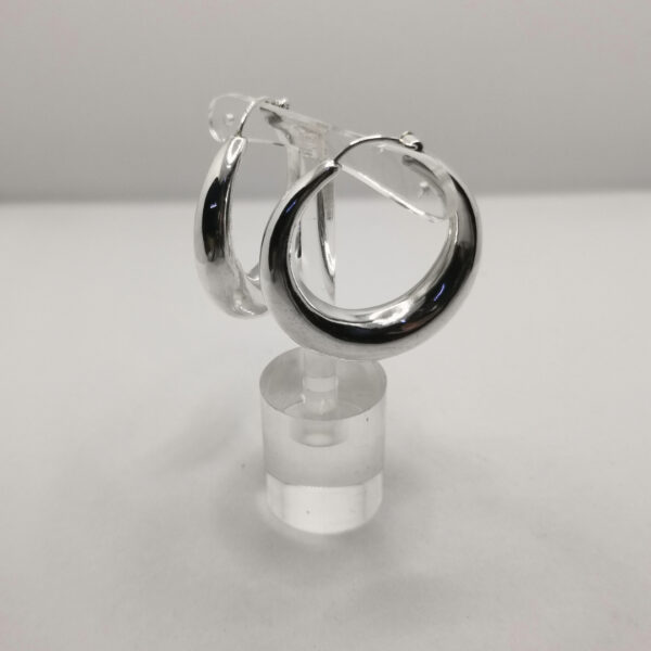 Big Hoops - immagine 2