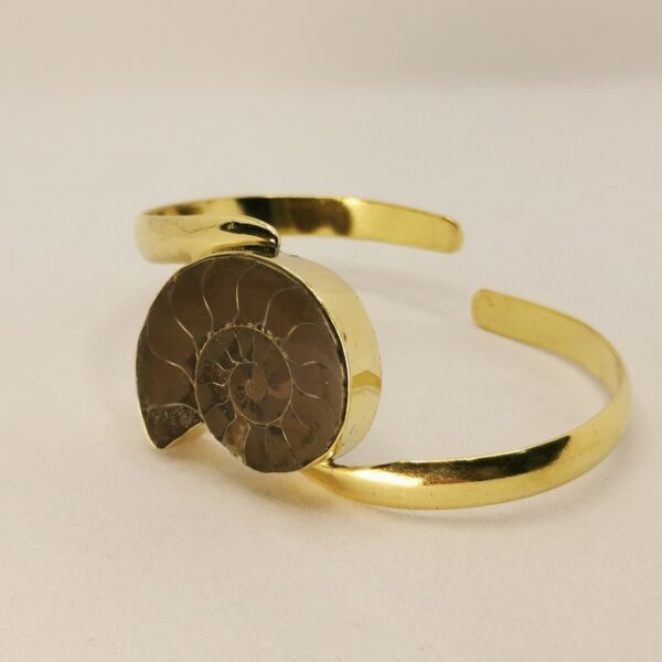 Chocker Nautilus - immagine 3