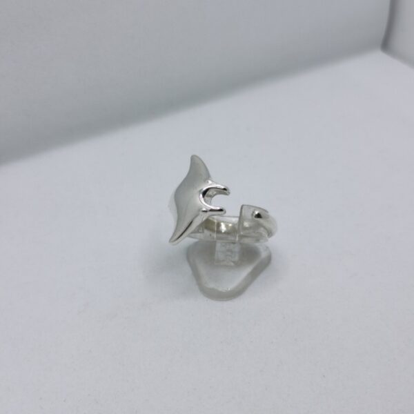 Silver Race - immagine 2
