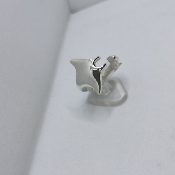 Silver Race