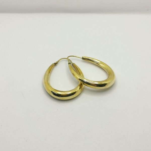Oval earrings